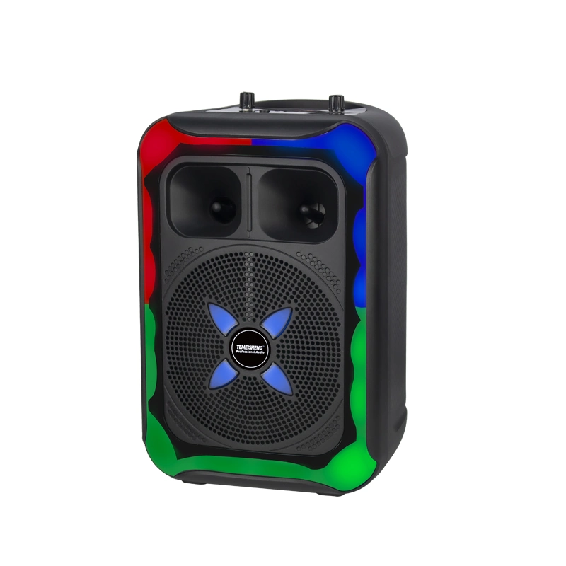 Original Accessories Karaoke Music Design Colorful Light Speaker 8 Inch Woofer with Horn Tweeter Bluetooth Portable Speaker with Wireless Microphone