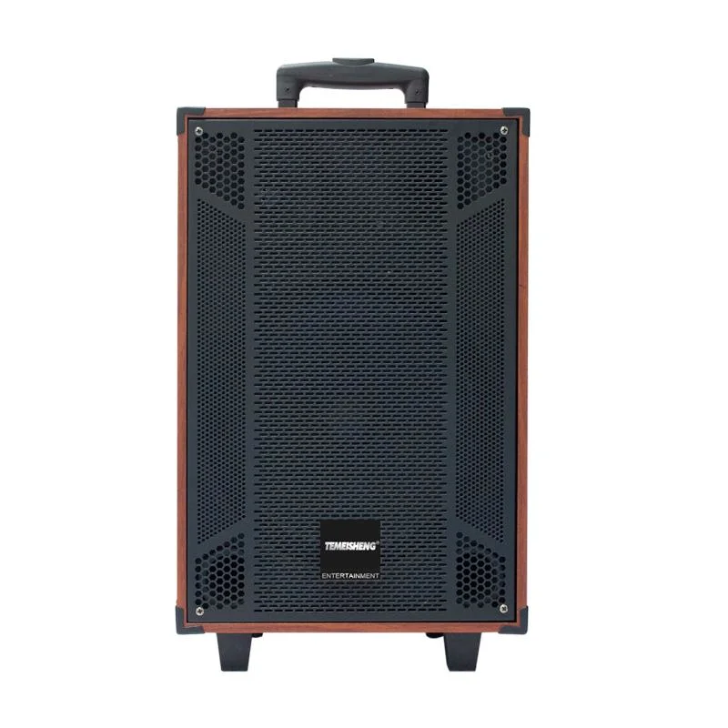 8inch Wireless Cheap Portable Trolley Speakers for Parties with FM/Aux/USB/SD/DVD/PC/MP3 MP4/Mobile Phone Functions