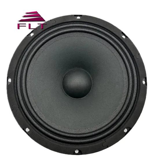 중국 제조업체의 차량용 저렴한 8인치 미드레인지 스피커
