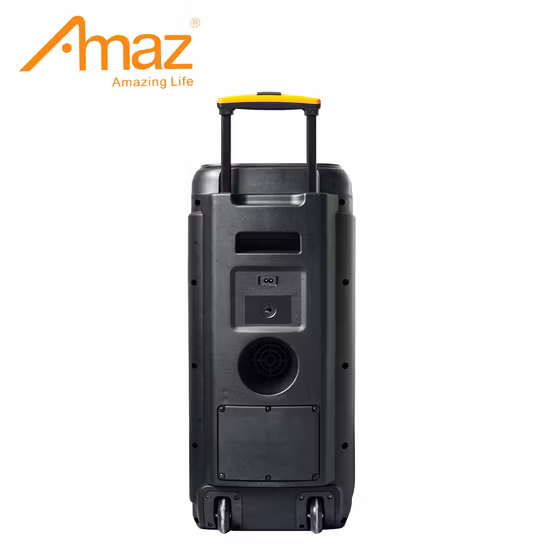 Amaz 저렴한 가격 OEM 듀얼 우퍼 블루투스 충전식 트롤리 스피커